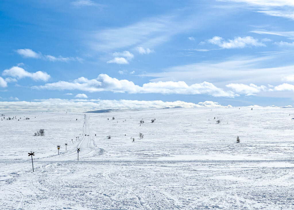 Skidåkning på fjället